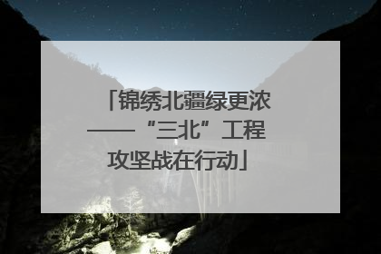 锦绣北疆绿更浓——“三北”工程攻坚战在行动