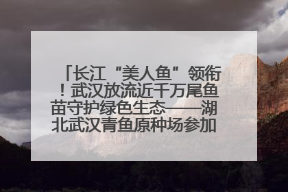 长江“美人鱼”领衔！武汉放流近千万尾鱼苗守护绿色生态——湖北武汉青鱼原种场参加2025年“全国放鱼日”增殖放流活动