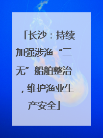 长沙：持续加强涉渔“三无”船舶整治，维护渔业生产安全
