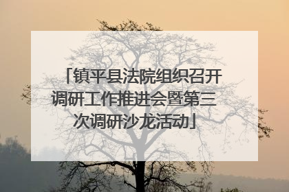 镇平县法院组织召开调研工作推进会暨第三次调研沙龙活动