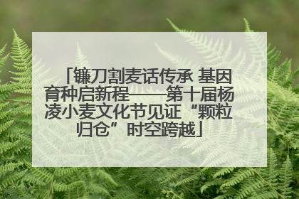 镰刀割麦话传承 基因育种启新程——第十届杨凌小麦文化节见证“颗粒归仓”时空跨越