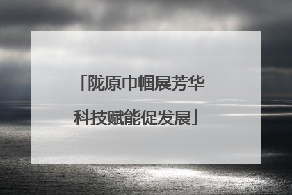 陇原巾帼展芳华 科技赋能促发展