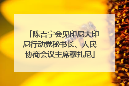 陈吉宁会见印尼大印尼行动党秘书长、人民协商会议主席穆扎尼