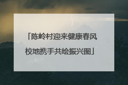 陈岭村迎来健康春风 校地携手共绘振兴图