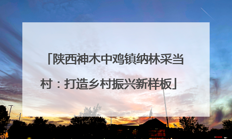 陕西神木中鸡镇纳林采当村：打造乡村振兴新样板