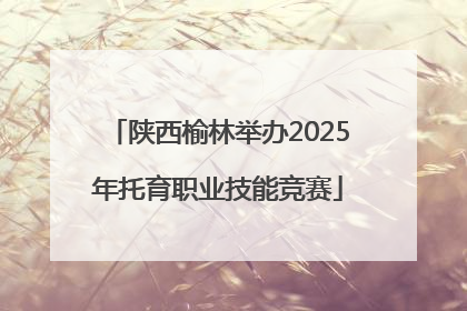 陕西榆林举办2025年托育职业技能竞赛