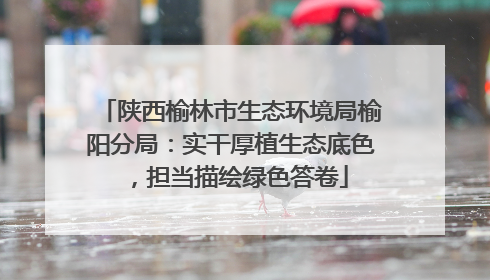 陕西榆林市生态环境局榆阳分局：实干厚植生态底色，担当描绘绿色答卷