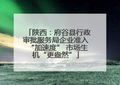 陕西：府谷县行政审批服务局企业准入“加速度” 市场生机“更盎然”