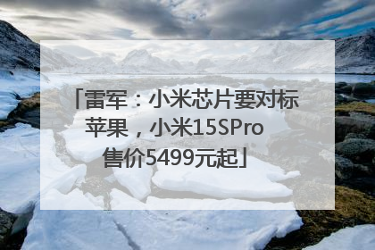 雷军：小米芯片要对标苹果，小米15SPro售价5499元起