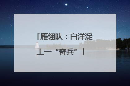 雁翎队：白洋淀上一“奇兵”