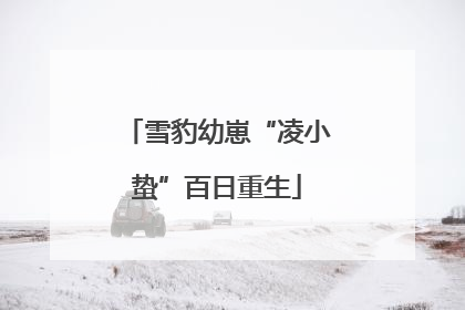 雪豹幼崽“凌小蛰”百日重生