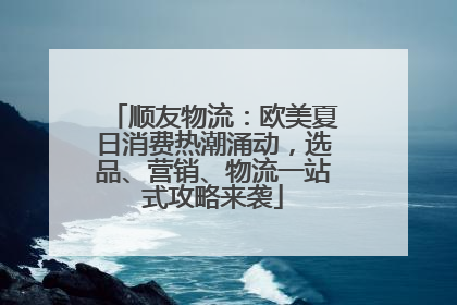 顺友物流：欧美夏日消费热潮涌动，选品、营销、物流一站式攻略来袭