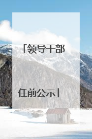 领导干部任前公示
