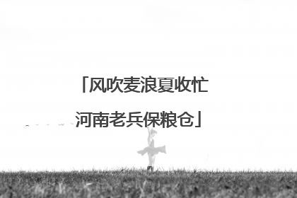 风吹麦浪夏收忙 河南老兵保粮仓