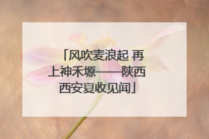 风吹麦浪起 再上神禾塬——陕西西安夏收见闻