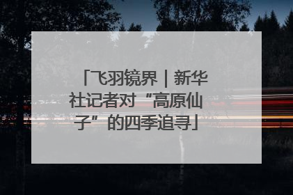 飞羽镜界｜新华社记者对“高原仙子”的四季追寻