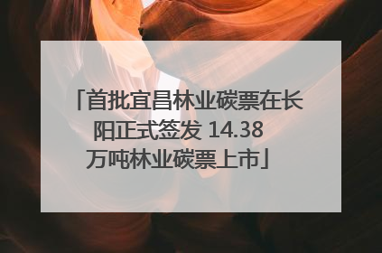 首批宜昌林业碳票在长阳正式签发 14.38万吨林业碳票上市