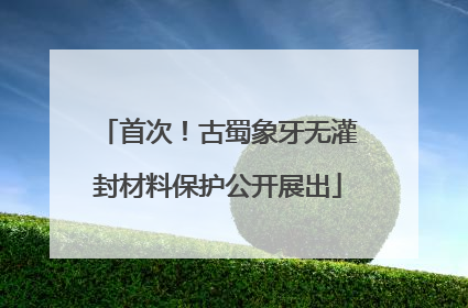 首次！古蜀象牙无灌封材料保护公开展出