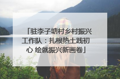 驻李子塘村乡村振兴工作队：扎根热土践初心 绘就振兴新画卷