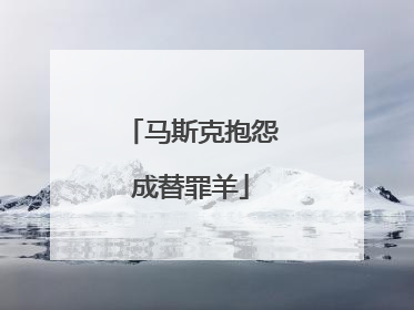 马斯克抱怨成替罪羊