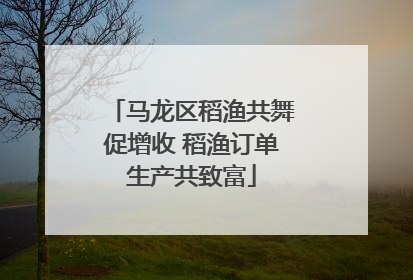 马龙区稻渔共舞促增收 稻渔订单生产共致富