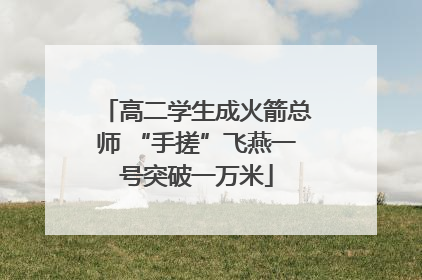 高二学生成火箭总师 “手搓”飞燕一号突破一万米