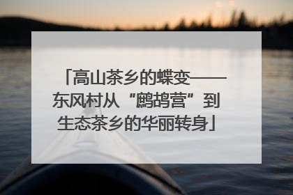 高山茶乡的蝶变——东风村从“鹧鸪营”到生态茶乡的华丽转身