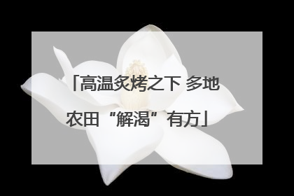高温炙烤之下 多地农田“解渴”有方