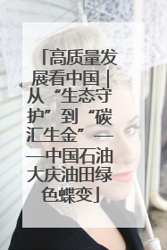 高质量发展看中国｜从“生态守护”到“碳汇生金”——中国石油大庆油田绿色蝶变