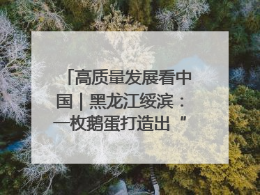 高质量发展看中国｜黑龙江绥滨：一枚鹅蛋打造出“产业图腾”
