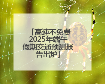 高速不免费 2025年端午假期交通预测报告出炉