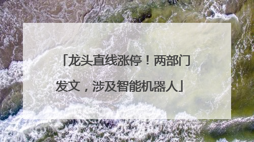 龙头直线涨停！两部门发文，涉及智能机器人