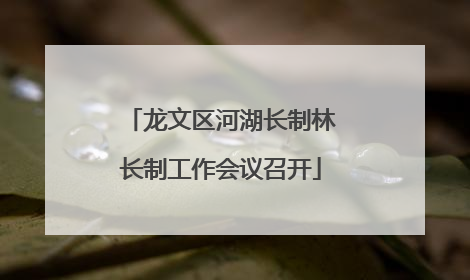 龙文区河湖长制林长制工作会议召开