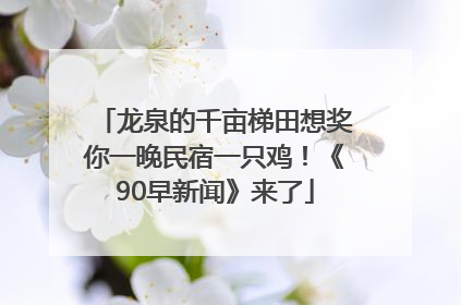 龙泉的千亩梯田想奖你一晚民宿一只鸡！《90早新闻》来了