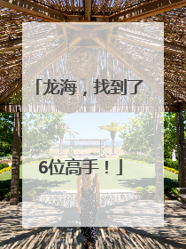 龙海，找到了6位高手！