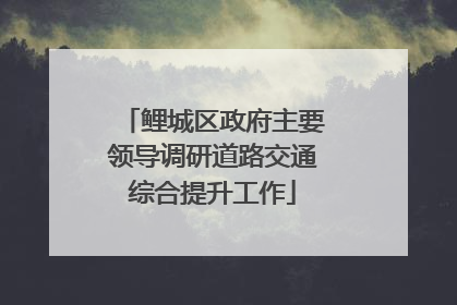 鲤城区政府主要领导调研道路交通综合提升工作