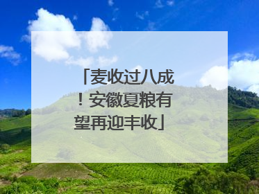 麦收过八成！安徽夏粮有望再迎丰收