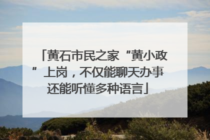 黄石市民之家“黄小政”上岗，不仅能聊天办事还能听懂多种语言