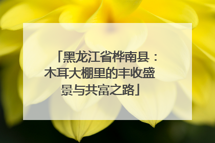 黑龙江省桦南县：木耳大棚里的丰收盛景与共富之路