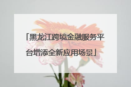 黑龙江跨境金融服务平台增添全新应用场景