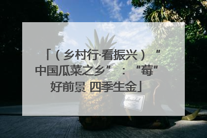 （乡村行·看振兴）“中国瓜菜之乡”：“莓”好前景 四季生金