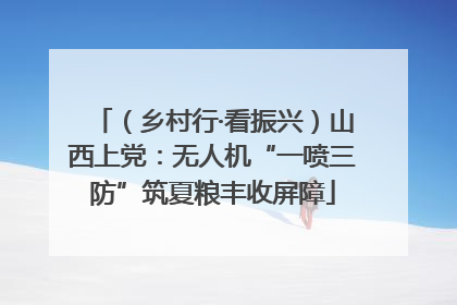 （乡村行·看振兴）山西上党：无人机“一喷三防”筑夏粮丰收屏障