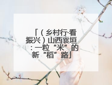 （乡村行·看振兴）山西襄垣：一粒“米”的新“稻”路