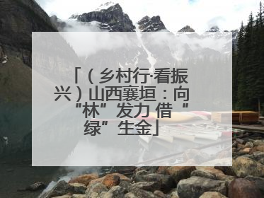 （乡村行·看振兴）山西襄垣：向“林”发力 借“绿”生金