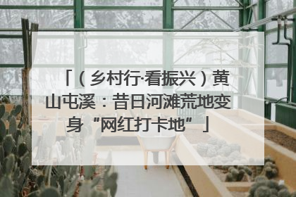 （乡村行·看振兴）黄山屯溪：昔日河滩荒地变身“网红打卡地”