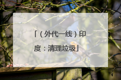 （外代一线）印度：清理垃圾