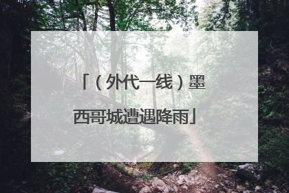 （外代一线）墨西哥城遭遇降雨