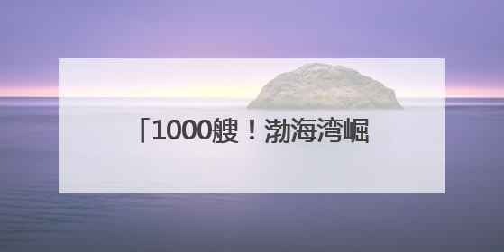 1000艘！渤海湾崛起世界级船舶租赁中心 促进全球贸易流动