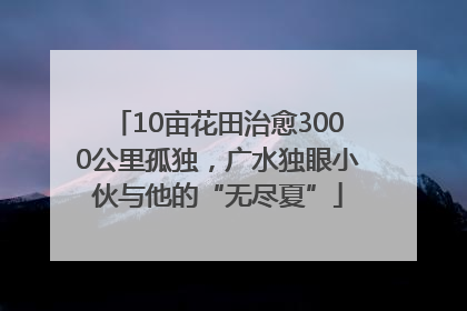 10亩花田治愈3000公里孤独，广水独眼小伙与他的“无尽夏”
