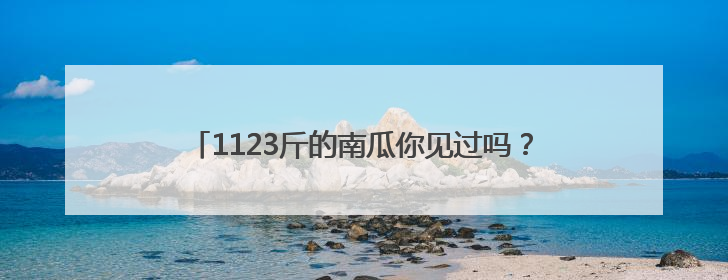 1123斤的南瓜你见过吗？潍坊“新农人”种出来了！